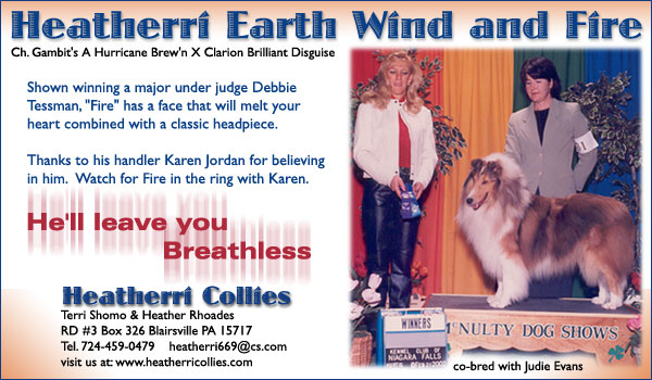 Heatherri Collies -- Heatherri Earth Wind and Fire