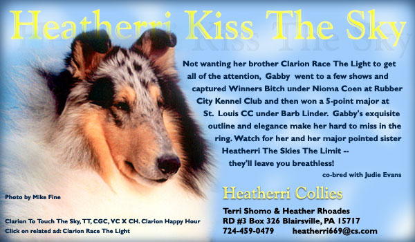 Heatherri Collies -- Heatherri's Kiss The Sky