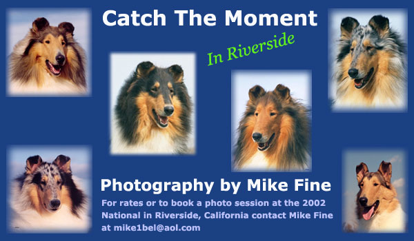 Mike Fine Photography -- Catch The Moment in Riverside