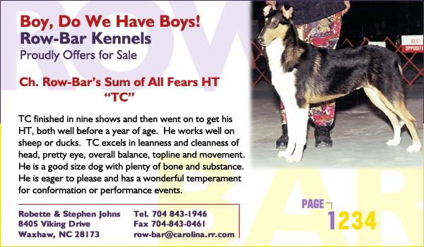 Row-Bar Collies -- Boy, Do We Have Boys!