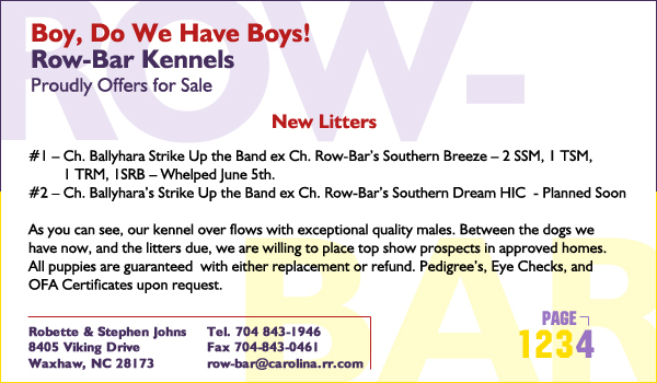 Row-Bar Collies -- Boy, Do We Have Boys!