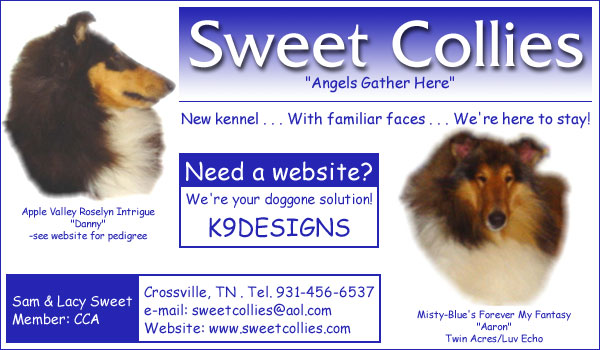 Sweet Collies -- Apple Valley Roselyn Intrigue/Misty-Blue's Forever My Fantasy/K9 Designs