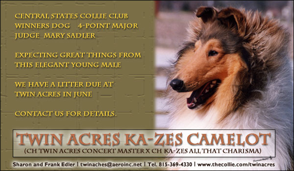 Twin Acres Collies-- Twin Acres Ka-Zes Camelot