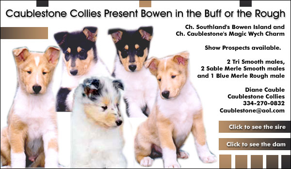 Caublestone Collies