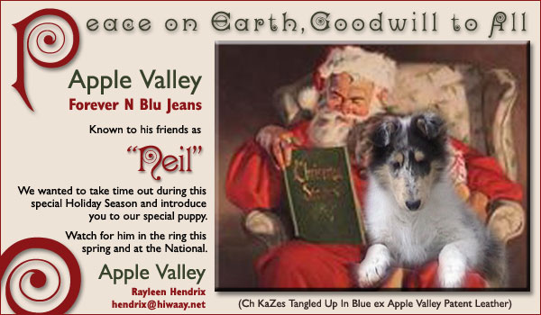 Apple Valley Forever N Blu Jeans