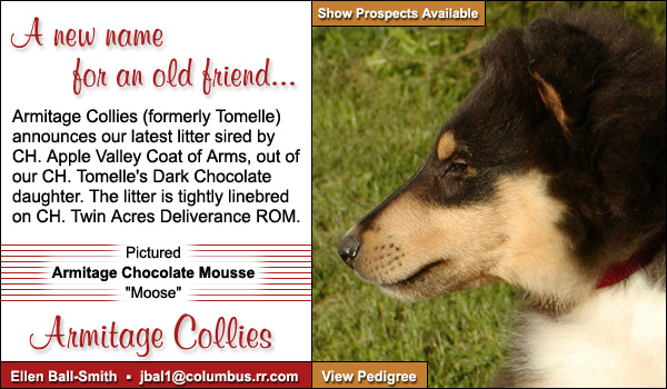 Armitage Chocolate Mousse