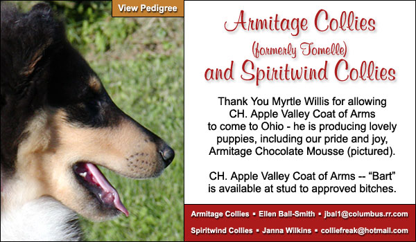 Armitage Chocolate Mousse