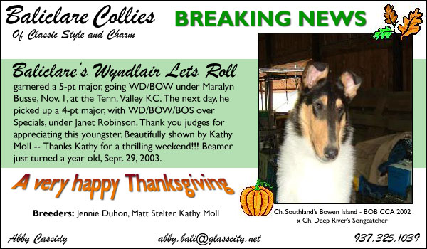 Baliclare's Wyndlair Lets Roll