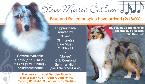 Ch. Ka-Zes Blue Music Of T'Night