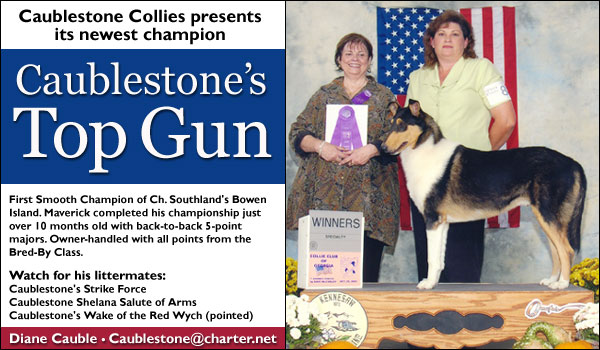 Ch. Caublestone's Top Gun