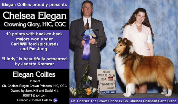 Chelsea Elegan Crowning Glory