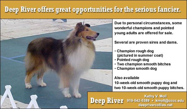 Deep River Collies