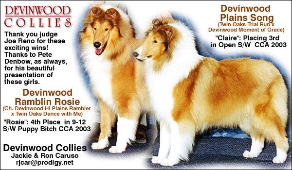 Devinwood Ramblin Rosie and Devinwood Plains Song