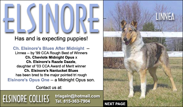 Ch. Elsinore's Blues After Midnight