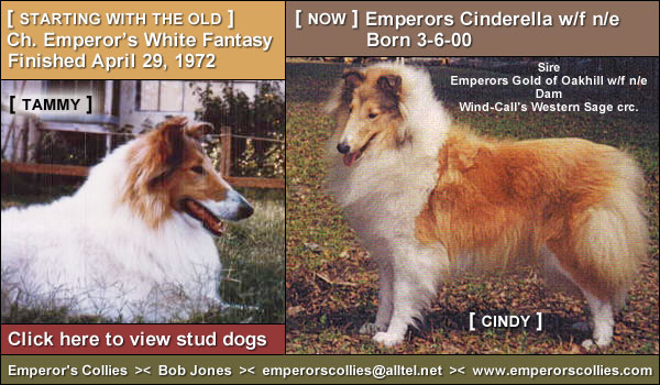 Emporer's Collies