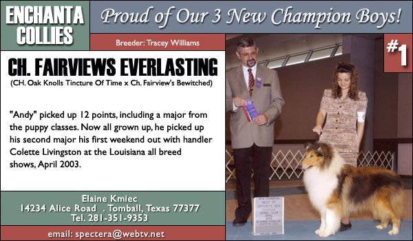 Ch. Fairviews Everlasting