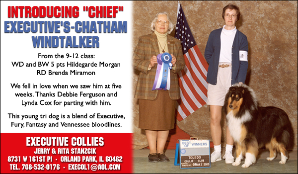 Chief Executive's-Chatham Windtalker