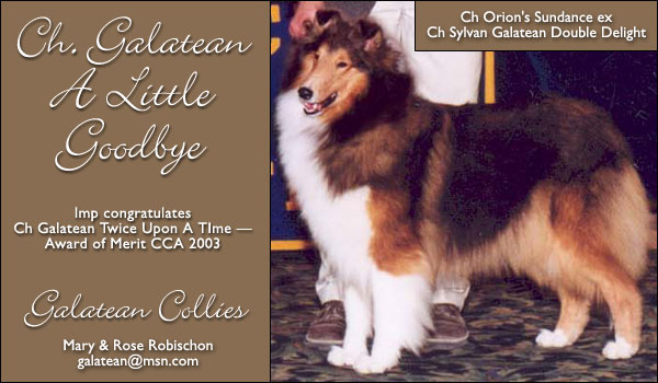 Ch Galatean A Little Goodbye