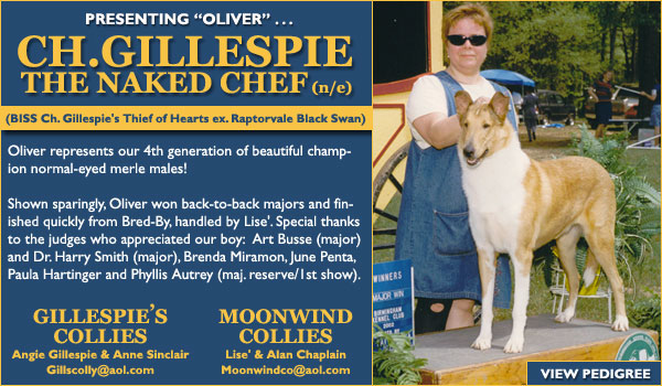 Ch. Gillespie The Naked Chef