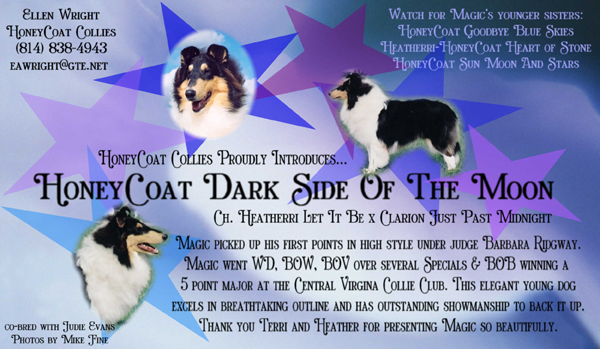 HoneyCoat Dark Side Of The Moon