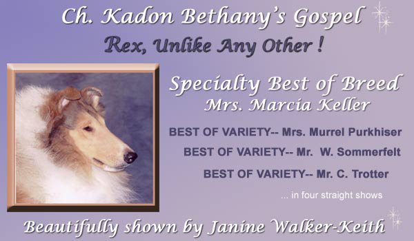 Ch. Kadon Bethany's Gospel