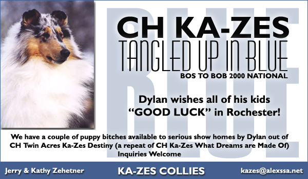 Ch. Ka-Zes Tangled Up In Blue