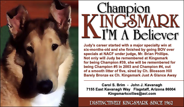 Ch. Kingsmark I'm A Believer