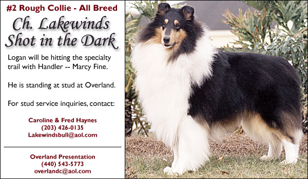 Ch. Lakewinds Shot in the Dark