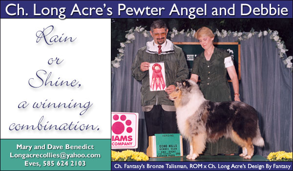 Ch. Long Acre's Pewter Angel