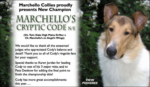 Ch. Marchello's Cryptic Code