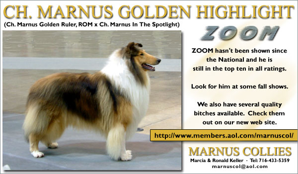 Armitage Chocolate Mousse