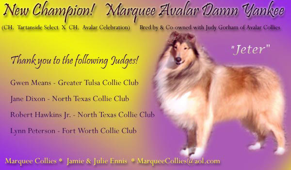 Ch. Marquee Avalar Damn Yankee