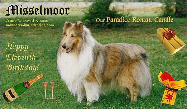 Paradice Roman Candle