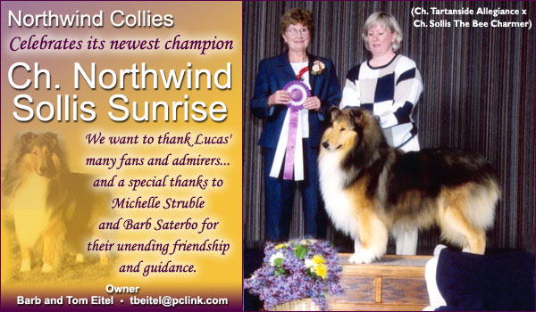 Ch. Northwind Sollis Sunrise
