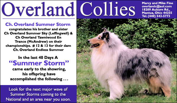 Ch. Overland Summer Storm