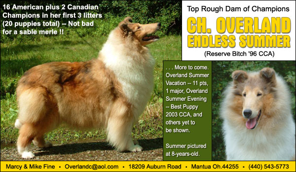 Ch. Overland Summer Storm