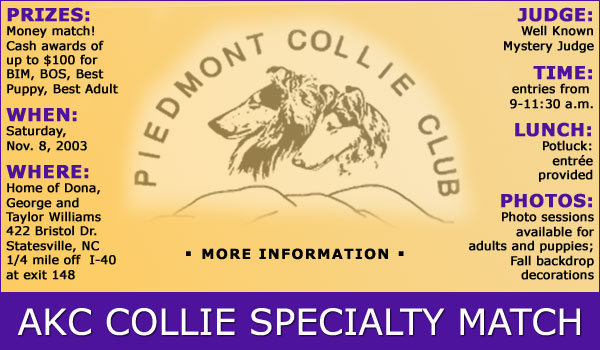 Piedmont Collie Club, Nov. 8
