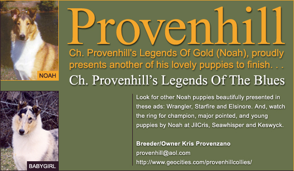Ch. Provenhill Collies