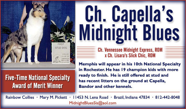 Ch. Capella's Midnight Blues