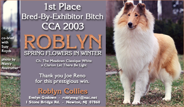 Roblyn Spring Flowers In Winter