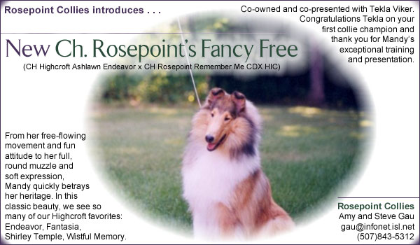 Ch. Rosepoint's Fancy Free