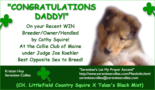 Serenitee's Let My Prayer Ascend