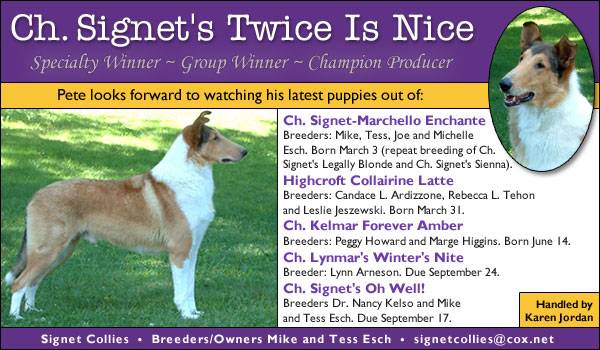 Ch. Signet's Twice Is Nice