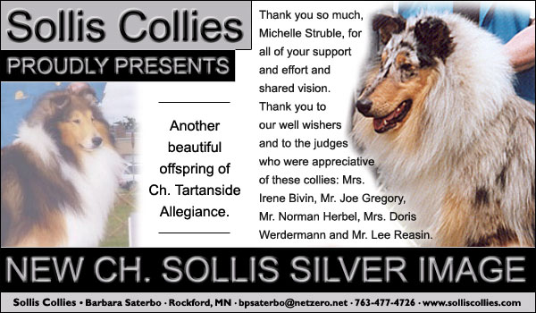 Ch. Sollis Silver Image