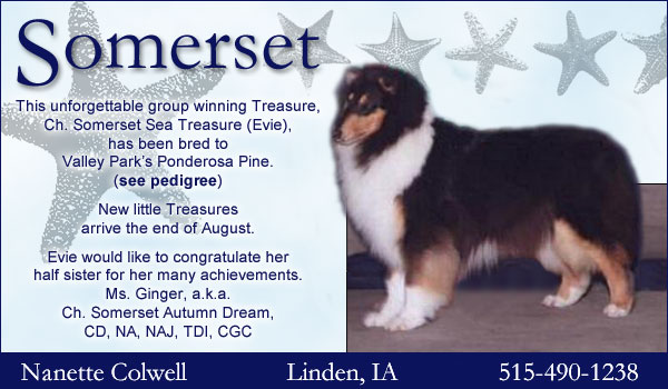 Ch. Somerset Sea Treasure