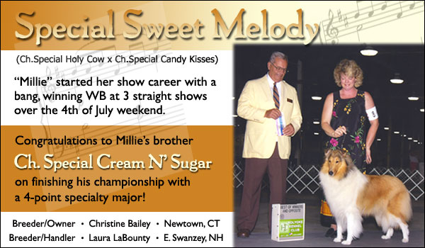 Special Sweet Melody