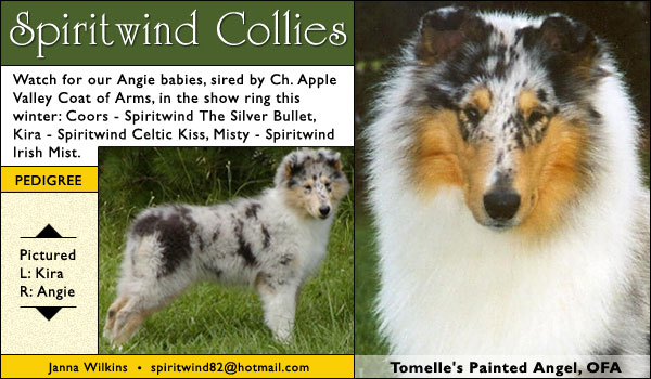 Spiritwind Collies