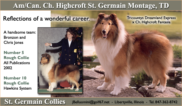 Am/Can. Ch. Highcroft St. Germain Montage