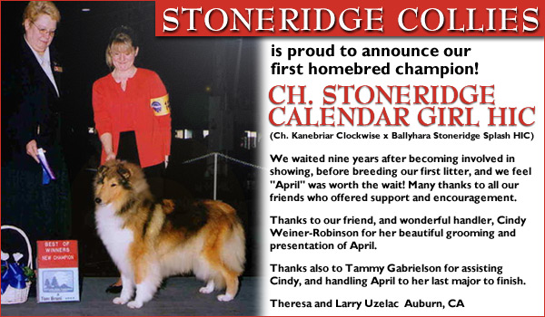 Ch. Stoneridge Calendar Girl HIC