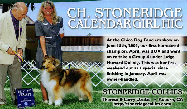 Ch. Stoneridge Calendar Girl HIC